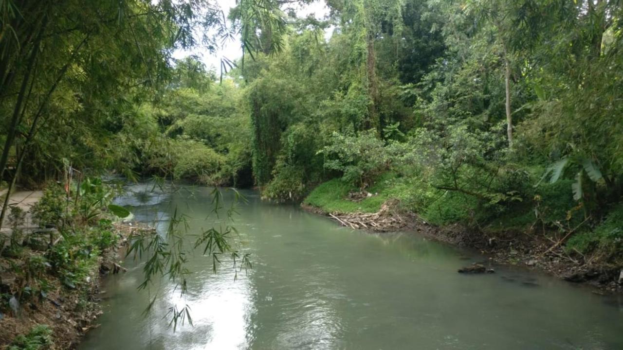 Gerbang Banyu Langit Cottage Bantul Εξωτερικό φωτογραφία